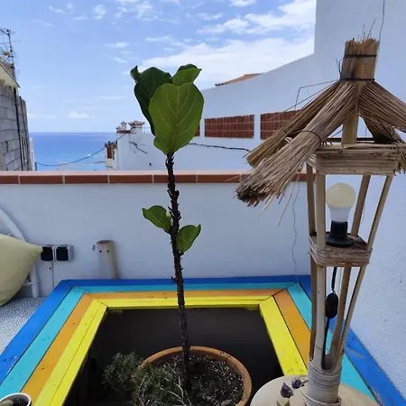 Banana Surf House *