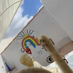 招待所 Banana Surf House 洛斯克里斯蒂亚诺斯