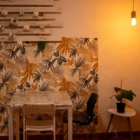 Banana Surf House ロスクリスティアーノス