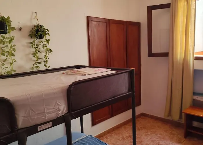 Banana Surf House Gasthof Los Cristianos (Tenerife)